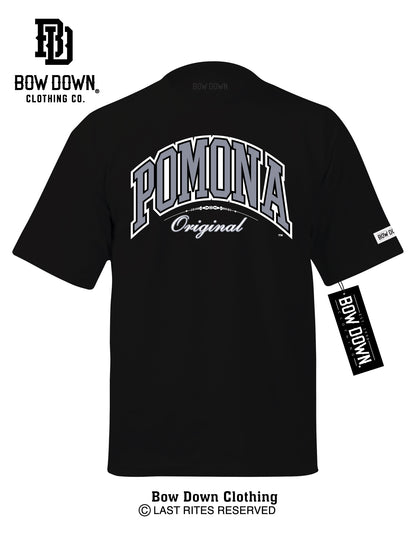 POMONA COLLEGE