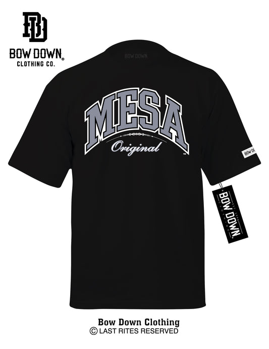 MESA COLLEGE